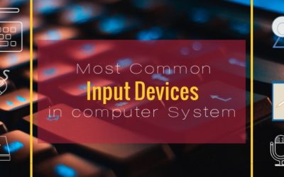 Input Devices of Computer